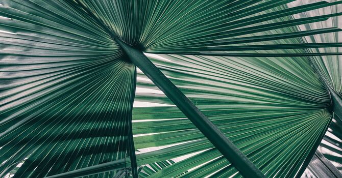 Regenerative Treatments For Hair Restoration